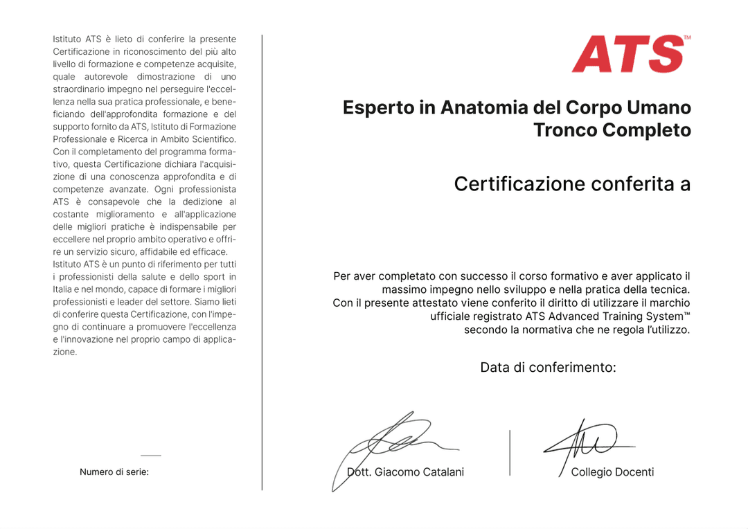 Certificazione Esperto in Anatomia del Corpo Umano - Tronco Completo